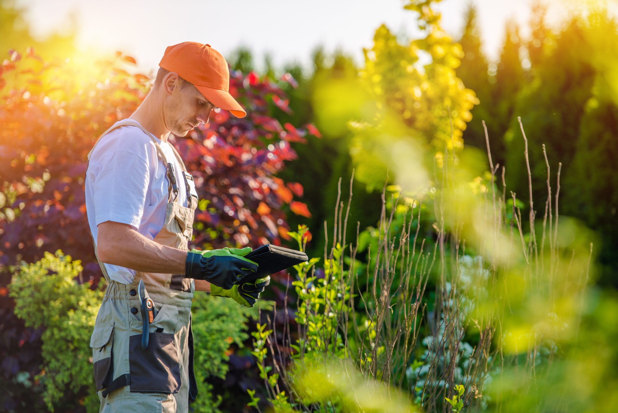 Garden Design with Tablet Device. Professional Gardener with His Tablet Computer.